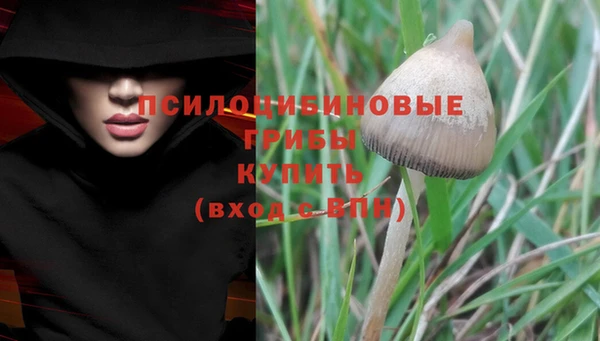 молекула духа Володарск