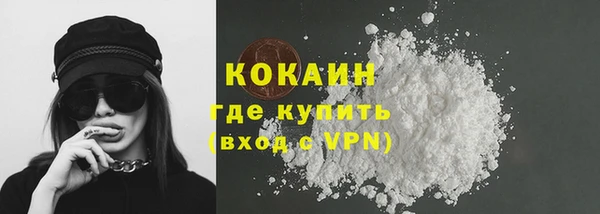 крисы Вязьма