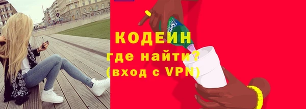 твердый Вяземский
