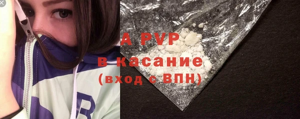 твердый Вяземский