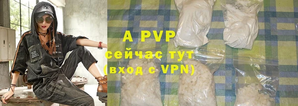 крисы Вязьма